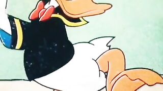Beautiful view of duck kid
