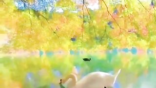 Beautiful view of nature