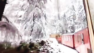 Beautiful view of nature with train