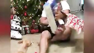 Top 14 most evil cats ????
