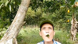 Esse é o segredo atrair os seguidores sem destruir nada