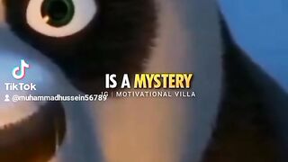Education video ????