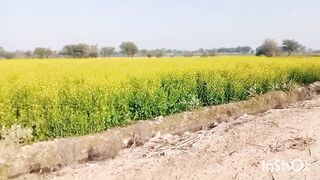 Natural scene Road Rasta beautiful manzar Scene village life clips festival clips