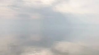 Beautiful view of nature