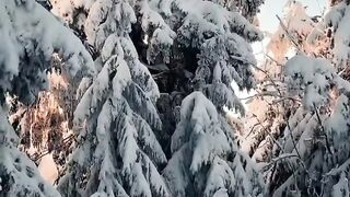 Beautiful view of nature