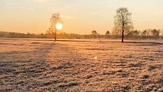 Beautiful view of nature
