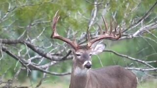 Beautiful view of Big Deer