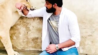 animal tiktok