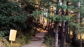 Murree tracking point at Zoo Pindi Point