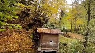 Beautiful view of nature