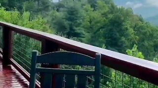 Beautiful view of nature