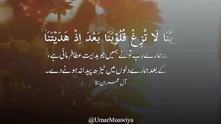 The Holy Quran Recitation