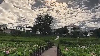 Amazing natural video