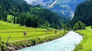 Swiss beauty