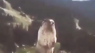 #funny