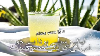 6-health-benefits-of-aloe-vera-juice