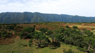 the natural beauty of the mountains