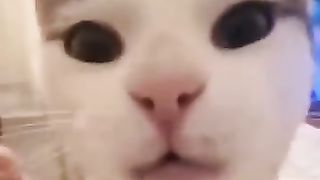 Проголодался, мой маленький_