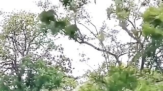 Bad day for monkey
