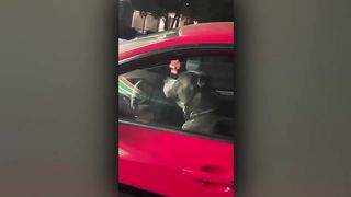 Такое Никто не Ожидал Увидеть! Случаи 1 на Миллион Снятые на Камеру.