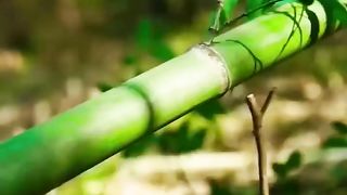 Traditional Chopsticks Making ????- Wood working art -handcraft - new easy life hack #short #howmake