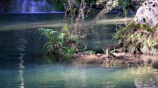 #Nature