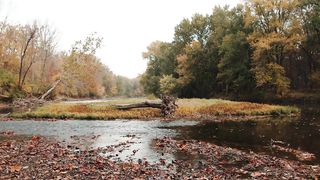 #Nature