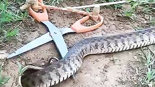 Bad attack ????