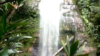 #Nature
