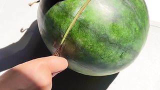 Watermelon Milk Ice