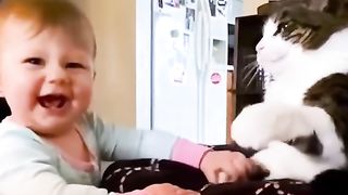 Funny videos