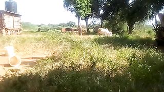VID_20240220_150958.