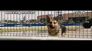 two dogs superhit funny clip Punjabi