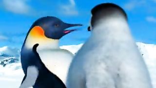 Penguin Punjabi short funny clip
