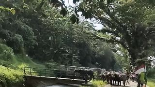 So nice video