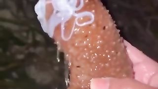 Protective sticky liquid of sea cucumber