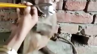 File name Ayodhya jane ke liey ready ho ra ha hu _viralshort _trandingshorts _ytshorts _ HomeReels by Sabari(720P_HD).