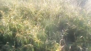 VID_20240220_181143.