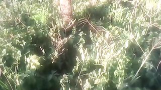 VID_20240220_181143.