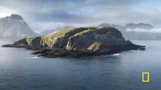Albatross Love Story | Incredible Animal Journeys | National Geographic