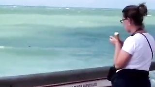 The seagull stealthily crept up to the victim