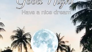 Good Night!!