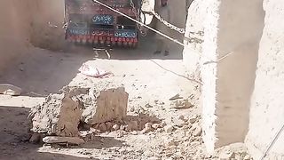 ???? trucks video excellent video
