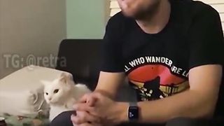 The cat is unhappy with this response