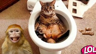 ESSAYEZ DE NE PAS RIRE PART_09 ♡♡♡