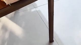 The lizard is skidding on a smooth tile