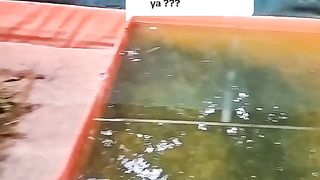 Kalian pernah jual ikan lele konsumsi, kena potongan timbangan (plasi) berapa potongan nya❓Apakah itu wajar❓