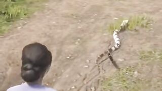 Snake