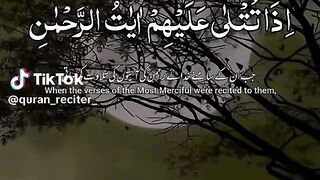 Powerful Quran recitation????????????