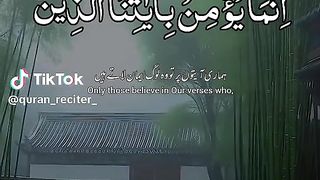 heart touching quran reaction